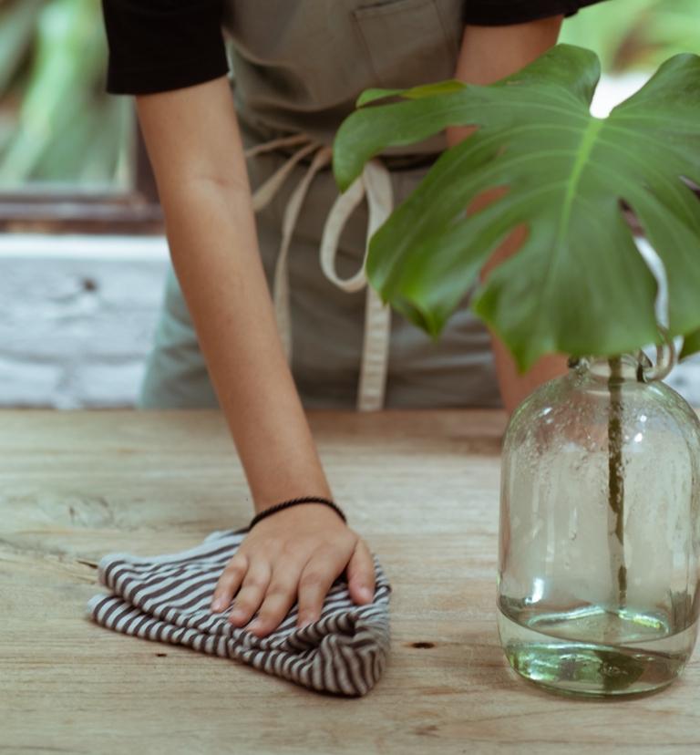 cleaning with vinegar