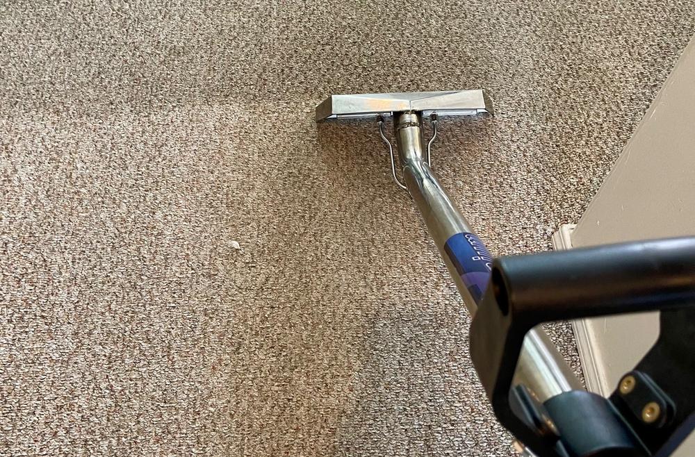 Carpet Cleaning